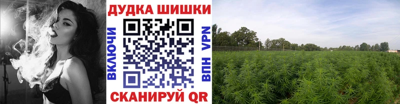 Купить где  Белово  Каннабис OG Kush 